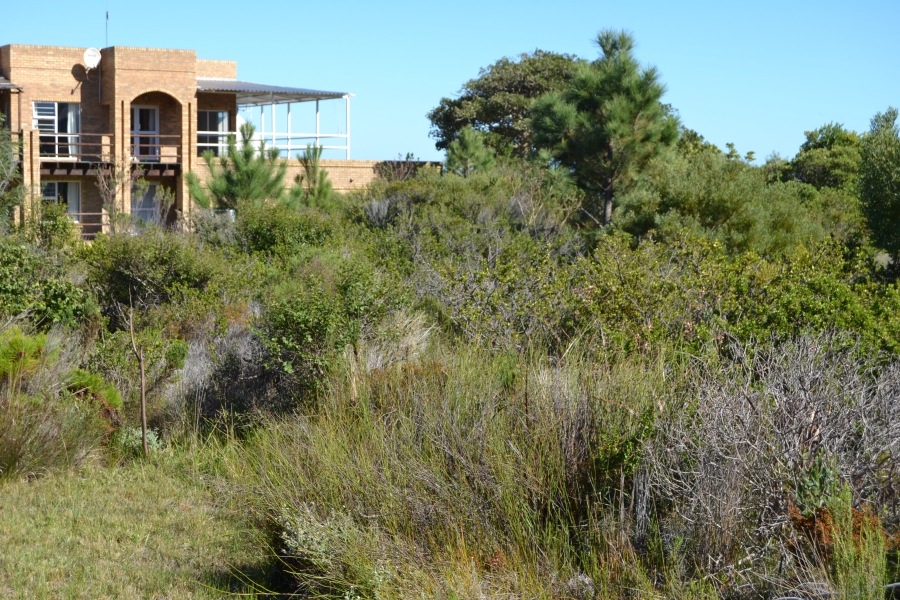 0 Bedroom Property for Sale in Pringle Bay Western Cape